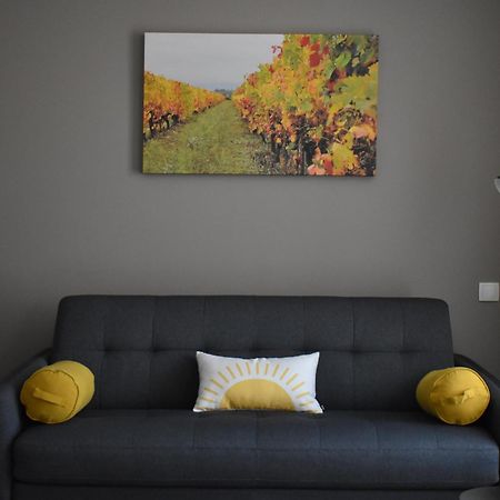 Coeur De Vignes Hotel Saint-Peray Room photo